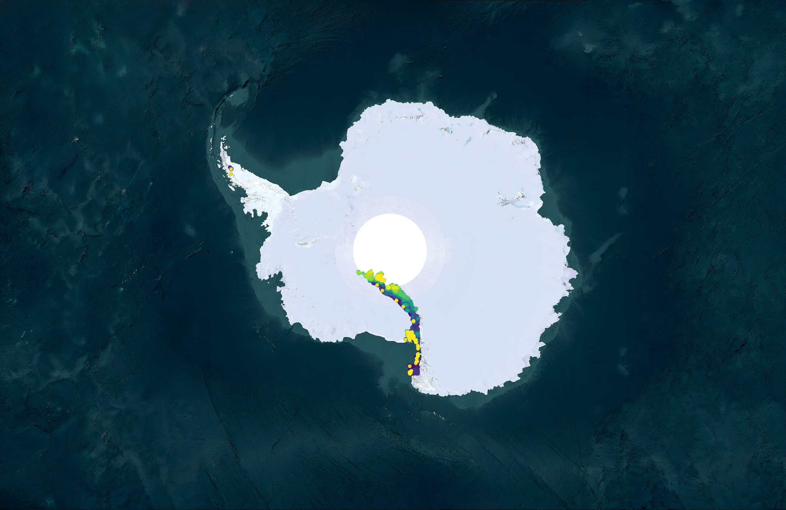 Sodium Map